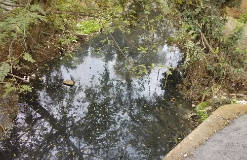 1644917555164793.png image.png