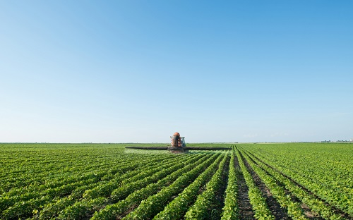 1650511569110288.png image.png