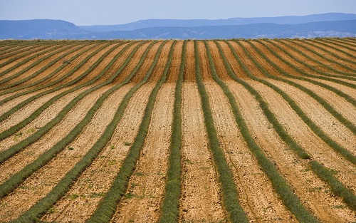 1654493560144665.png image.png