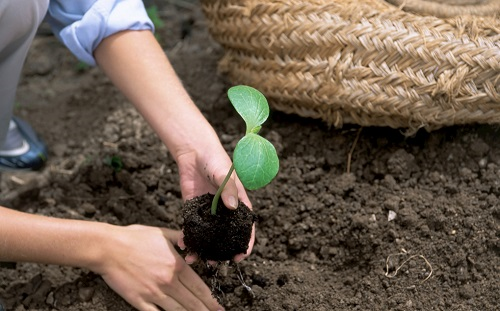 1656386584490561.png image.png