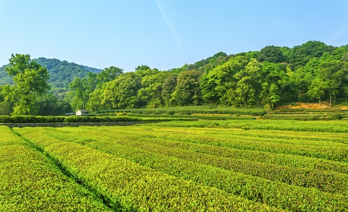 1656558319223704.png image.png