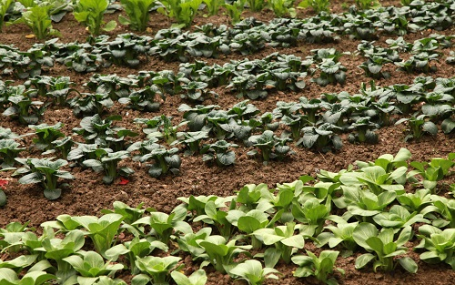 1657681767157247.png image.png