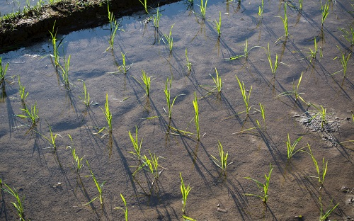 1658459885106448.png image.png