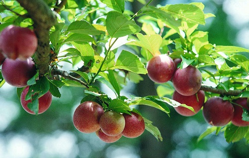 1662519579824681.png image.png