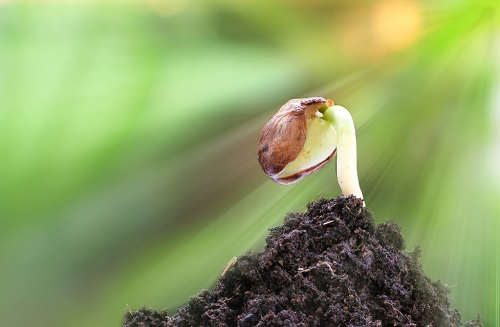 1665381815199803.png image.png