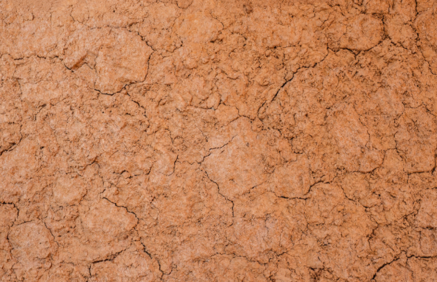 1682562521594494.png image.png