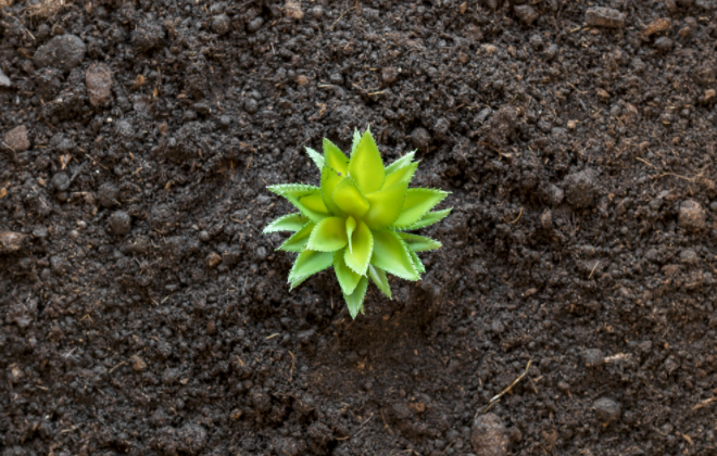 1685425456140995.png 土壤微量元素測定儀